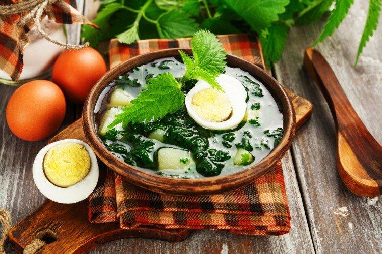 12 easy nettle soups for this summer