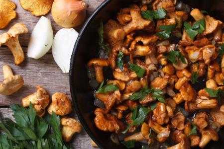 20 delicious mushroom dishes that will diversify your menu