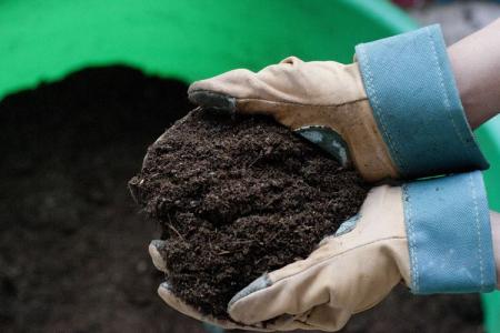 How and how to disinfect the soil before planting