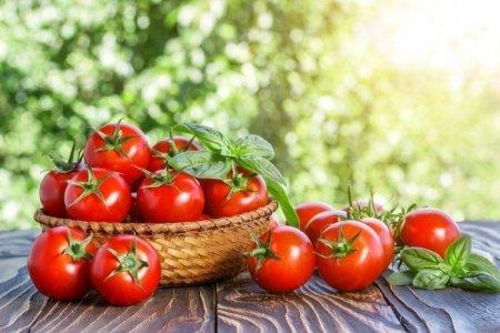 Tomates basses: les meilleures variétés avec photos et noms (catalogue)
