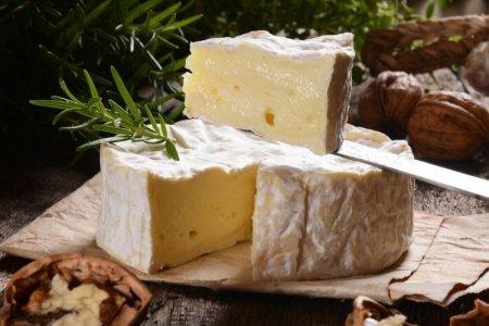 Varieties and types of soft cheeses: names, photos and descriptions