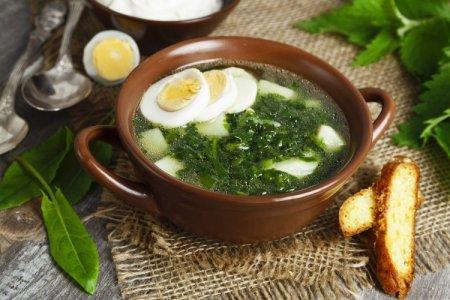 12 easy and delicious sorrel soups with egg