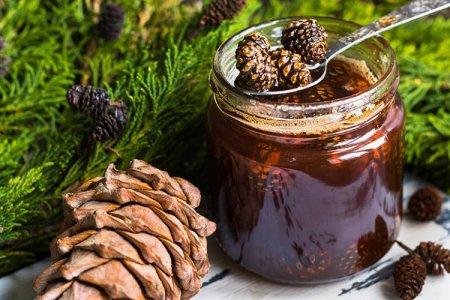 20 delicious pine cone jam recipes