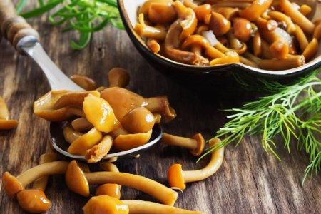 20 de rețete delicioase de ciuperci murate