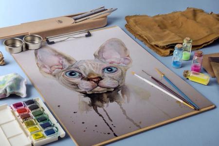 How to draw a cat: 7 easy ways (step by step)