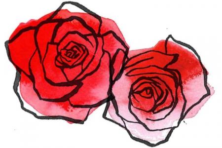 How to draw a beautiful rose: 7 easy ways (step by step)