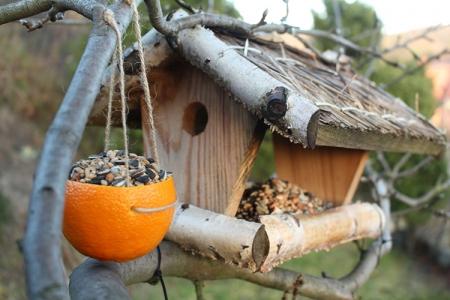Mangeoire à oiseaux DIY : 12 idées originales