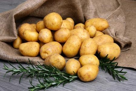Les meilleures variétés de pommes de terre : photos, noms et descriptions (catalogue)