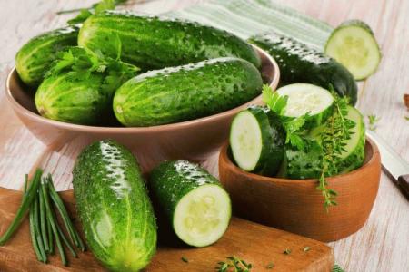 The best varieties of cucumbers for the Moscow region: photos, names and descriptions (catalog)