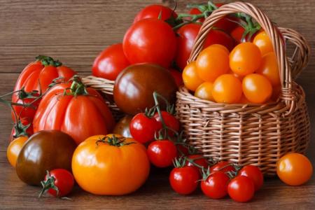 The best varieties of tomatoes for the Moscow region: photos, names and descriptions (catalog)