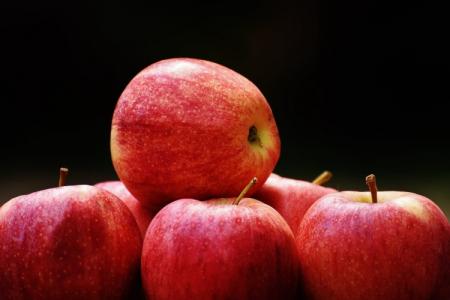 The best apple varieties for the Moscow region: photos, names and descriptions (catalog)