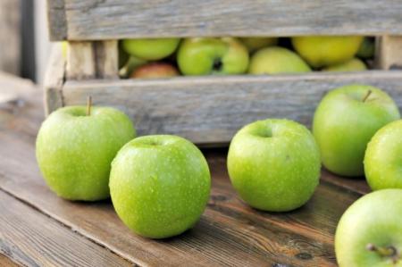 Pommes vertes : les meilleures variétés avec noms et photos (catalogue)