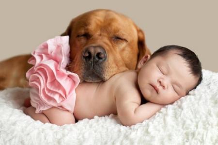 Petits enfants et leurs grands chiens : 10 photos émouvantes